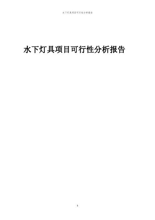 水下灯具项目可行性分析报告