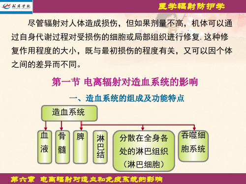 电离辐射对造血和免疫系统的影响