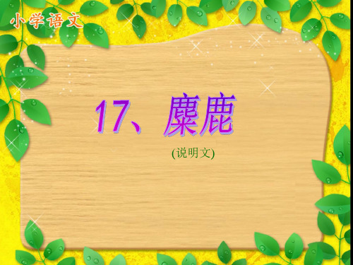 麋鹿.PPT课件