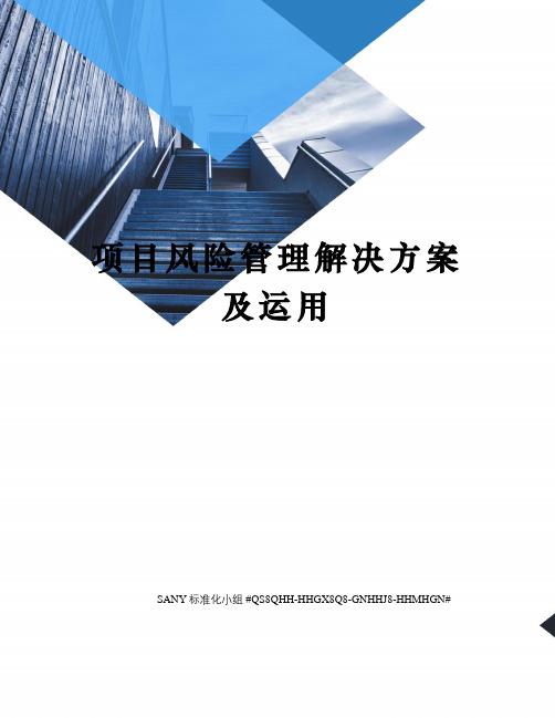 项目风险管理解决方案及运用精修订