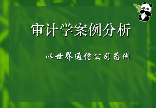 世通公司舞弊审计案例分析