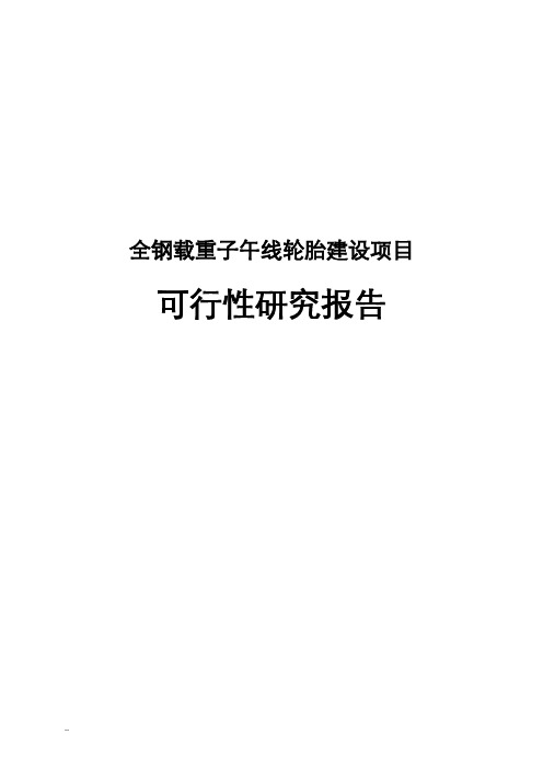 全钢载重子午线轮胎建设可行性研究报告