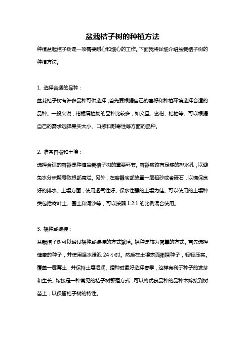 盆栽桔子树的种植方法