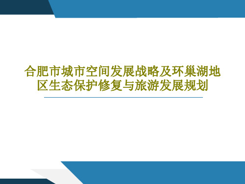 合肥市城市空间发展战略及环巢湖地区生态保护修复与旅游发展规划共17页文档