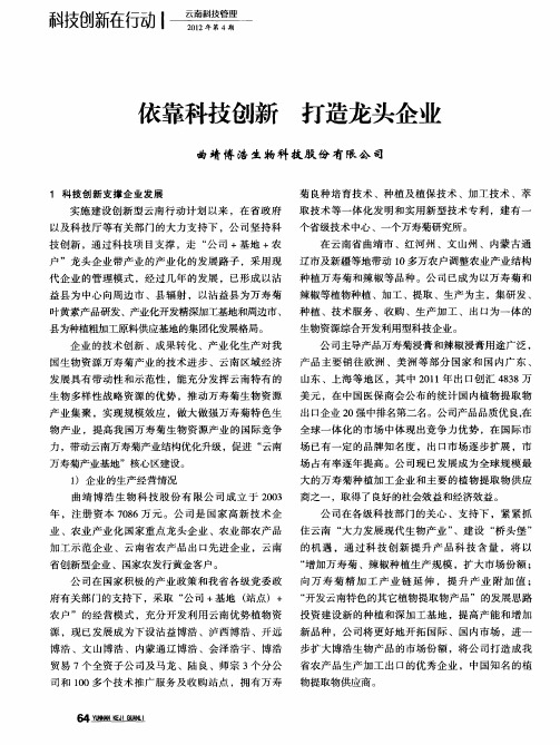 依靠科技创新 打造龙头企业