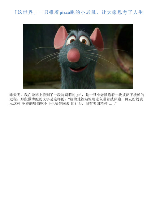 「这世界」一只推着pizza跑的小老鼠,让大家思考了人生