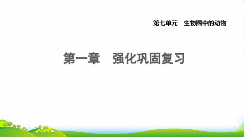 2022八年级生物上册第七单元生物圈中的动物第一章动物的主要类群强化巩固复习课件鲁科版五四制