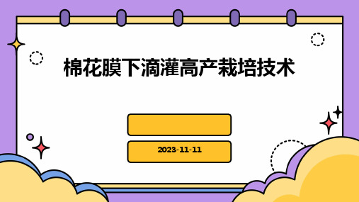 棉花膜下滴灌高产栽培技术