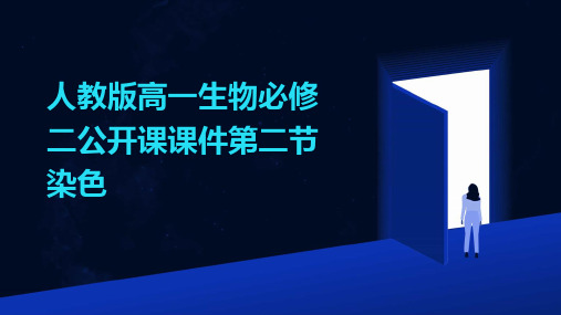 人教版高一生物必修二公开课课件第二节染色