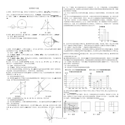 初四数学专题