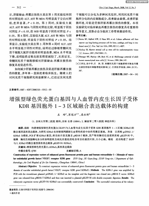 增强型绿色荧光蛋白基因与人血管内皮生长因子受体KDR基因胞外1—3区域融合表达载体的构建