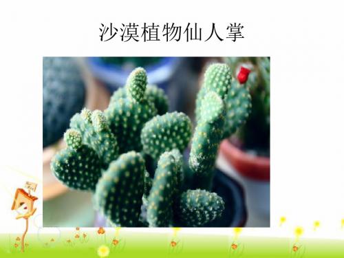 青岛版四年级科学上册 《8 植物的身体》课件1