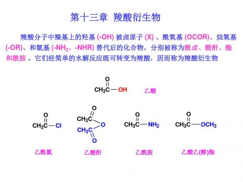 13-羧酸衍生物