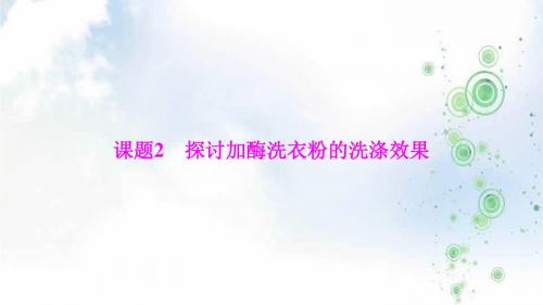 生物人教版选修一优化课件：专题4 课题2 探讨加酶洗衣粉的洗涤效果