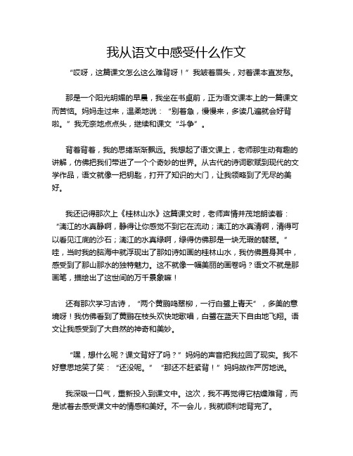 我从语文中感受什么作文