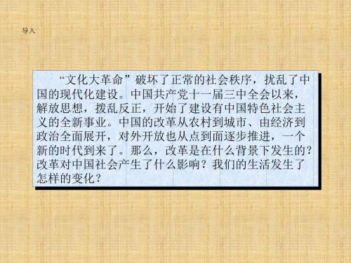 岳麓版历史选修1《改革开放的新时代》课件