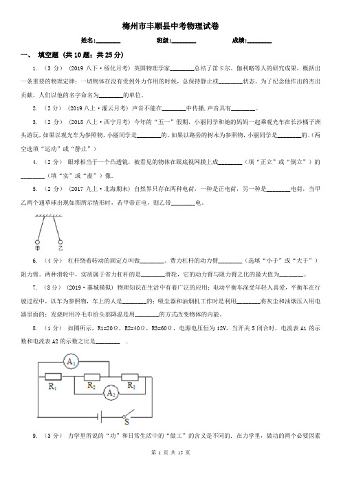 梅州市丰顺县中考物理试卷