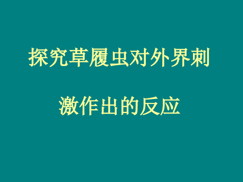 探究草履虫对外界刺激作出的反应.