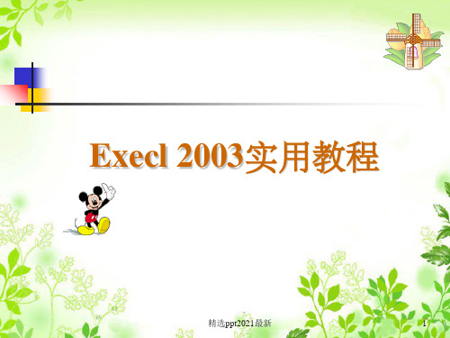 Excel2003基础教程大全PPT课件