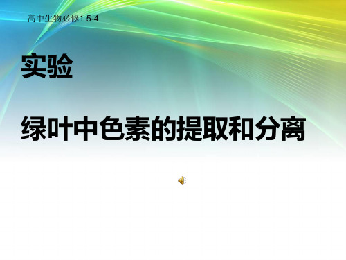 色素的提取和分离实验说课稿