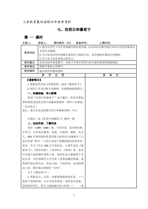 苏教版语文九年级上册《在烈日和暴雨下》教案 (3)