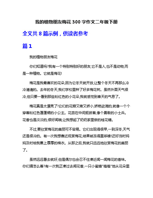 我的植物朋友梅花300字作文二年级下册