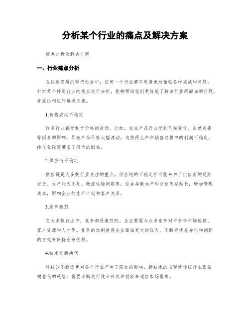 分析某个行业的痛点及解决方案