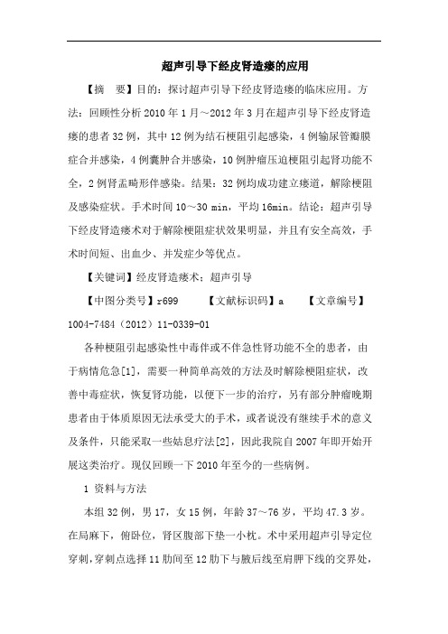 超声引导下经皮肾造瘘的应用论文