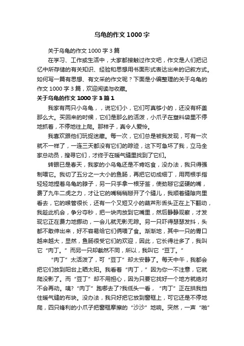 关于乌龟的作文1000字3篇