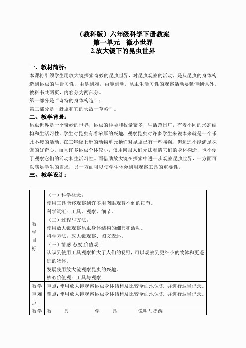 教科小学科学六下《1.2、放大镜下的昆虫世界》word教案(3)