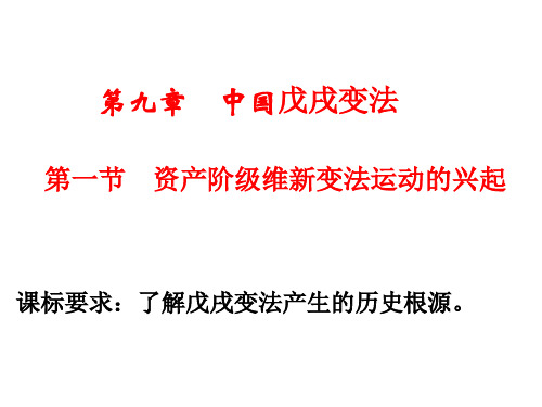 第一节资产阶级维新变法运动的兴起.