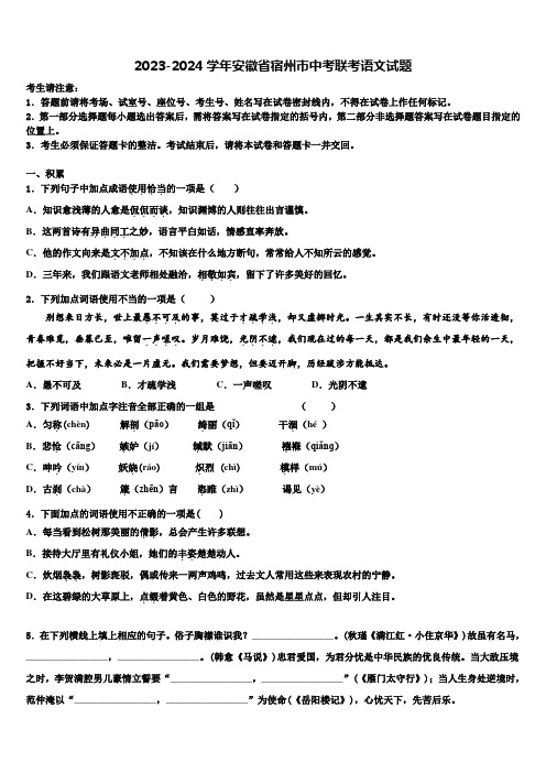 2023-2024学年安徽省宿州市中考联考语文试题含解析