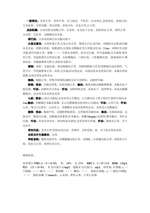 体格检查模板
