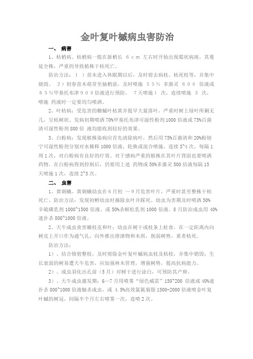 金叶复叶槭病虫害及防治