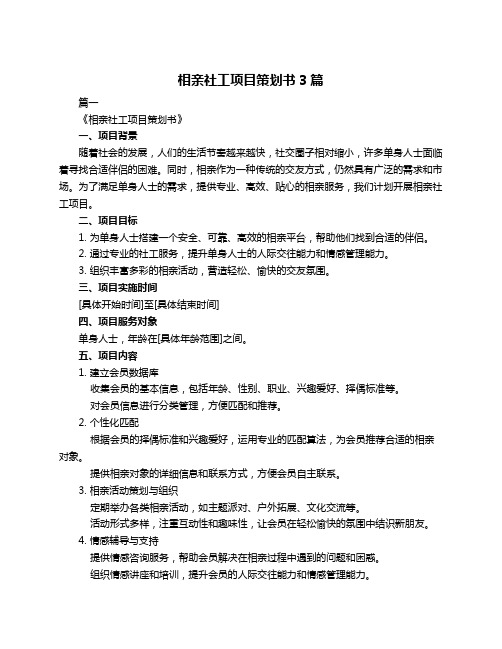 相亲社工项目策划书3篇