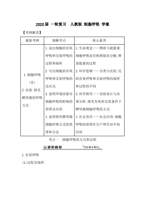 2020届 一轮复习  人教版 细胞呼吸 学案