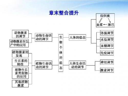 【课堂新坐标】2012高三生物一轮复习 第二章生物个体的稳态章末整合提升课件 苏教版必修3