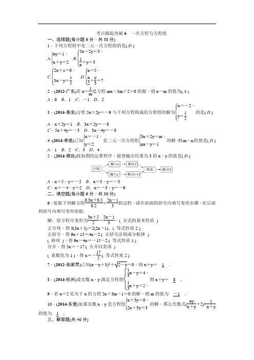 中考数学考点研究与突破【6】一次方程与方程组(含答案)