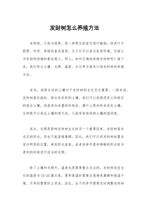 发财树怎么养殖方法