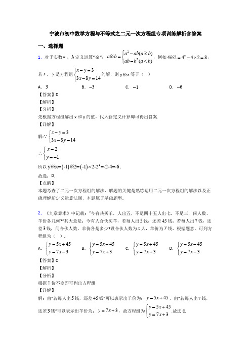 宁波市初中数学方程与不等式之二元一次方程组专项训练解析含答案