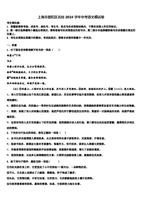 上海市普陀区名校2024学年中考语文模试卷含解析