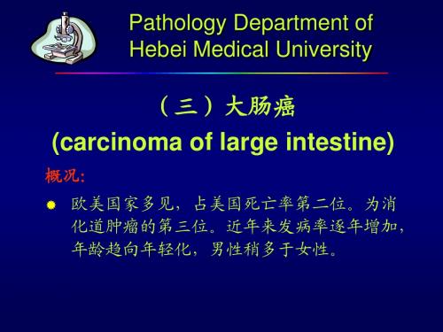 病理学 消化系统常见肿瘤(2)