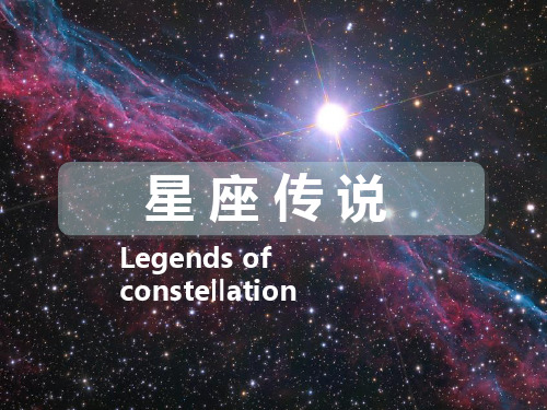 圣斗士星矢--12星座