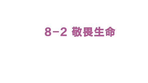 8-2 敬畏生命 课件-统编版七年级上册道德与法治(2024)