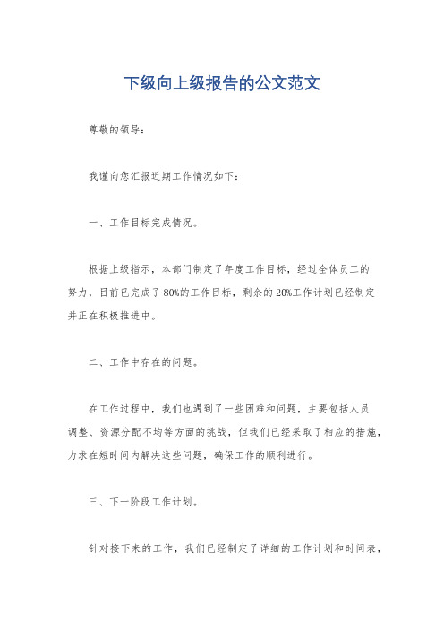 下级向上级报告的公文范文