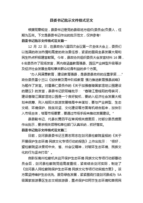 县委书记批示文件格式范文