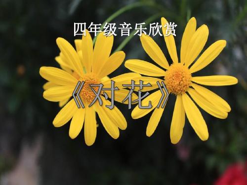 《对花》 精品课件3(共10张)