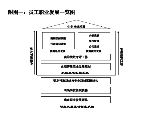 某公司员工职业发展矩阵附图汇总