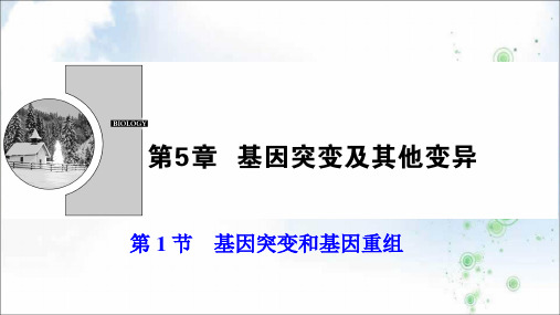 生物人教版必修二优化课件:第5章 第1节 基因突变和基因重组