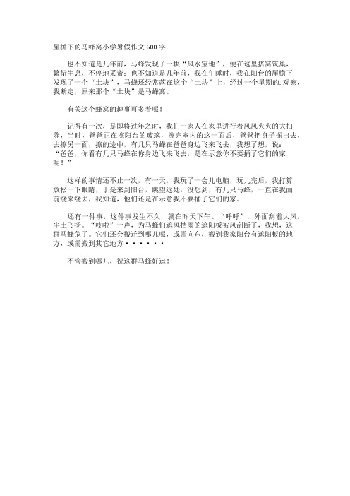 屋檐下的马蜂窝小学暑假作文600字